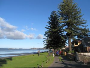 Image of orewa10jabeach.jpg