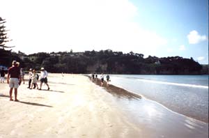 Image of orewabeach2q.jpg