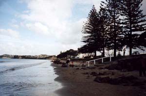 Image of orewabeachq.jpg