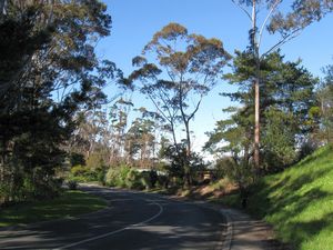 Image of orewajul09fgpoggy.jpg