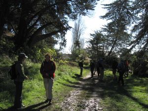 Image of orewajul09jdtrack.jpg