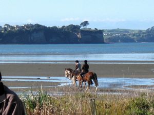 Image of orewajul09kkcheval.jpg