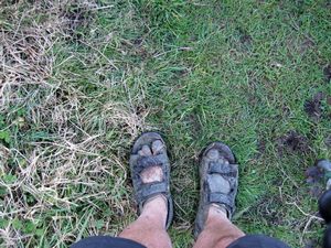 Image of orewajul09lnsandals.jpg