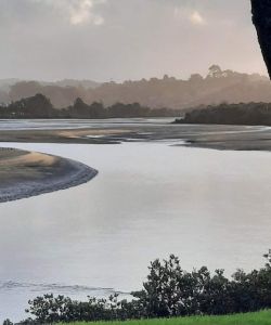 Image of orewamay22b.jpg