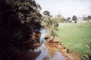 Image of orewapuriristreamq.jpg