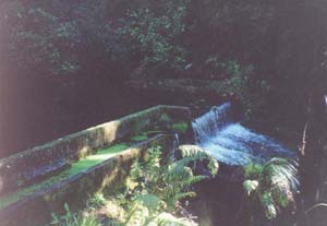 Image of otawadamdam2.jpg