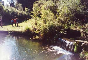 Image of otawadamfalls2.jpg