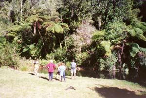 Image of otawadamq.jpg