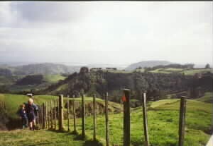 Image of otawataurangaq.jpg