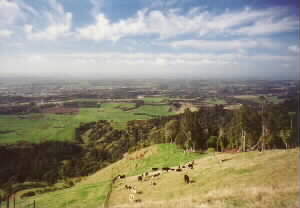 Image of otawatepukeq.jpg