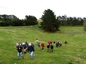 Image of otuataua09bctrack.jpg