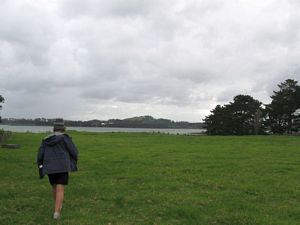 Image of otuataua09botrack.jpg