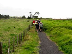 Image of otuataua09brtrack.jpg