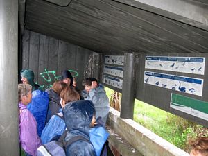 Image of otuataua09btshelter.jpg