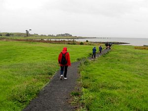 Image of otuataua09catrack.jpg