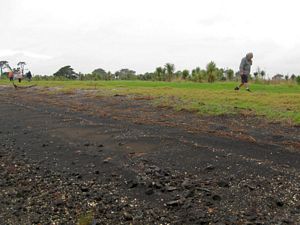 Image of otuataua09cbbeach.jpg