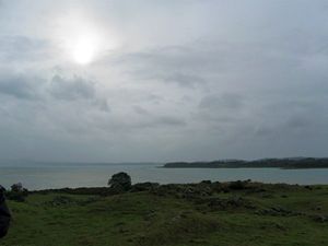 Image of otuataua09dkmixedsunshine.jpg