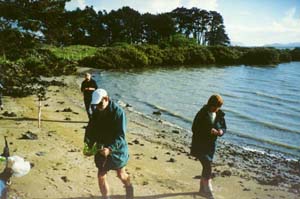 Image of otuatauabeachq.jpg