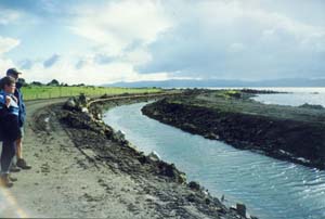 Image of otuatauacoast2q.jpg