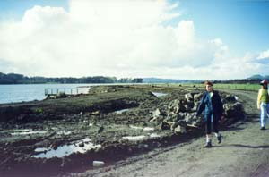 Image of otuatauacoastq.jpg