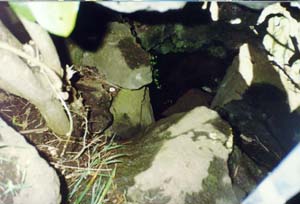 Image of otuatauainsidelinocaveq.jpg