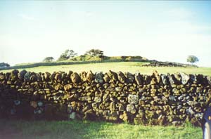 Image of otuatauapukeq.jpg