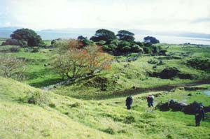 Image of otuatauaview2.jpg