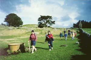 Image of otuatauawalkq.jpg