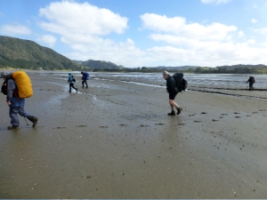 Image of p1080004.jpg