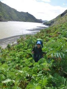 Image of p1080030.jpg