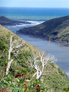 Image of p1080042.jpg