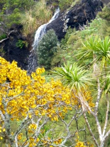 Image of p1080053.jpg