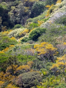 Image of p1080068.jpg