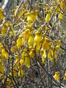 Image of p1080086.jpg