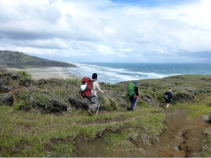 Image of p1080100.jpg