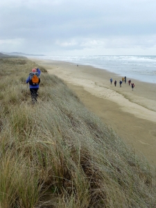 Image of p1080155.jpg