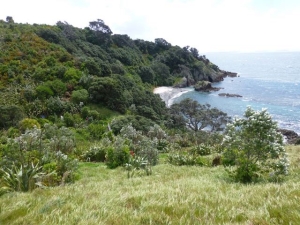 Image of p1080349.jpg