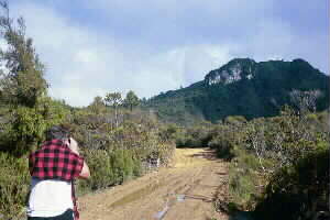 Image of pakirarahiq.jpg