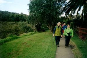 Image of pakuranga02track.jpg