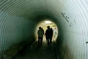 Image of pakuranga02tunnel.jpg