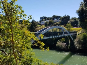 Image of pakurangaapr21g.jpg