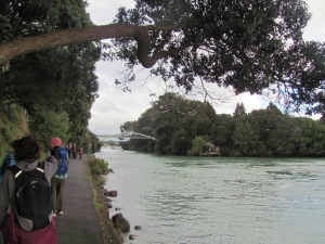 Image of panmure15 (10).jpg