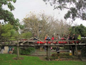 Image of panmure15 (7).jpg