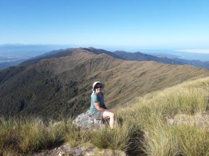 Image of paparoa22a.jpg