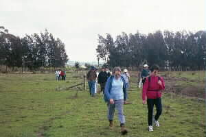 Image of parakaipaddockq.jpg