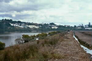 Image of parakaistopbankhelensvilleq.jpg