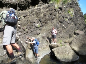 Image of pararaha14a.jpg