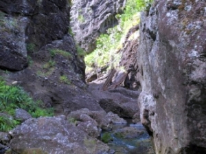 Image of pararaha14c.jpg