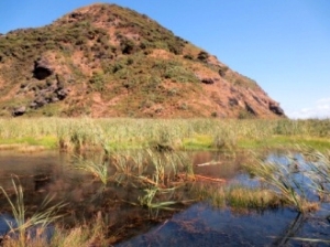 Image of pararaha14f.jpg