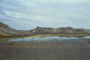 Image of pararahastreambeach3q.jpg